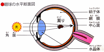 雑多_21